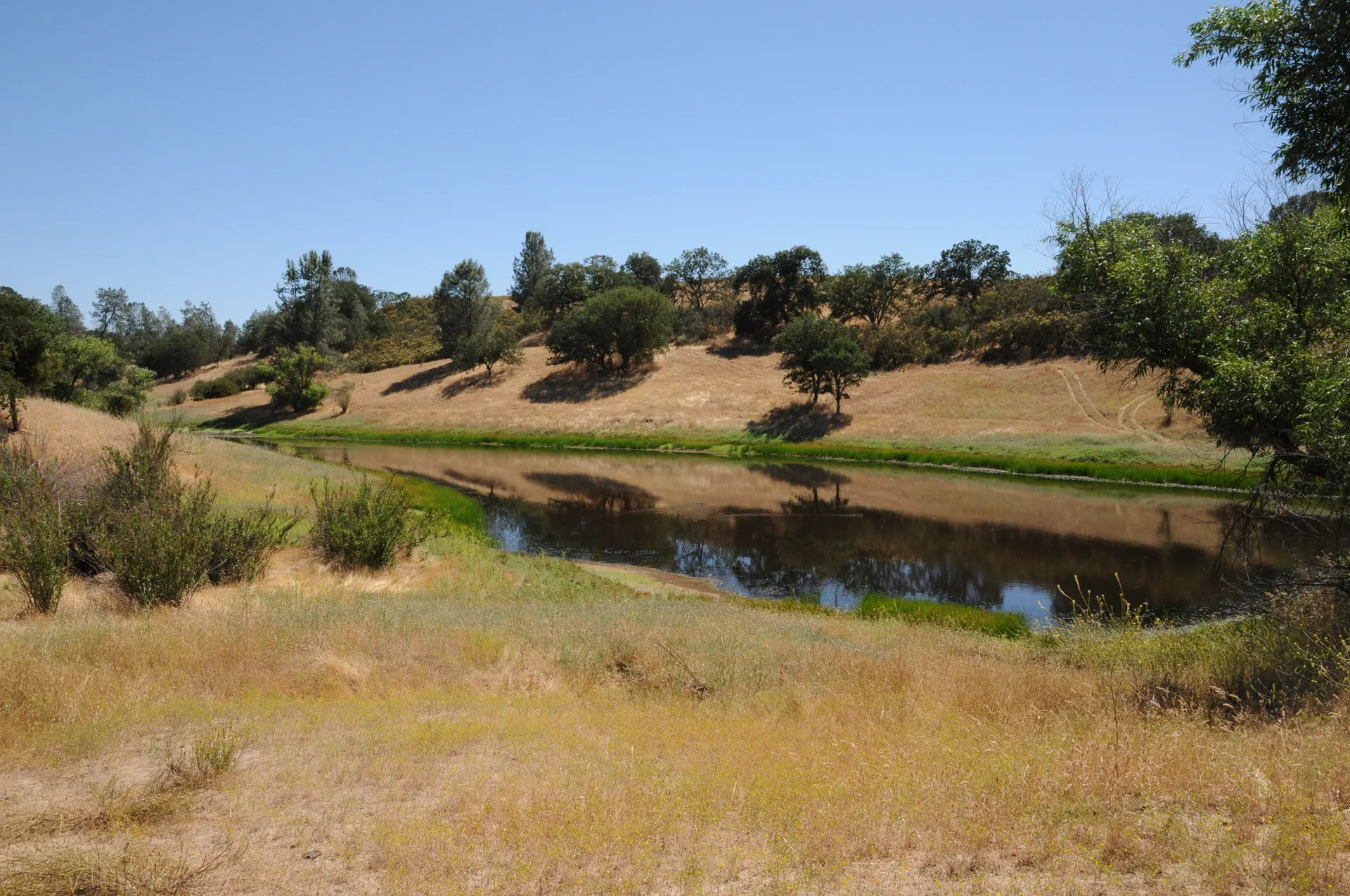 The Entire Ranch interior view 2